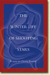 The Winter Life of Shooting Stars - book cover